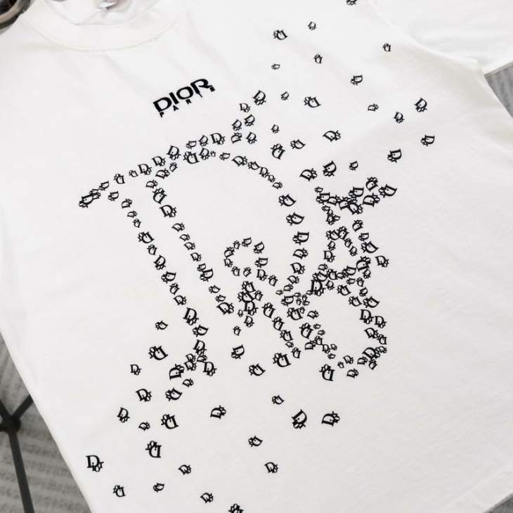 Dior T Shirts Short _SKUDiorS-XLaatx1315789